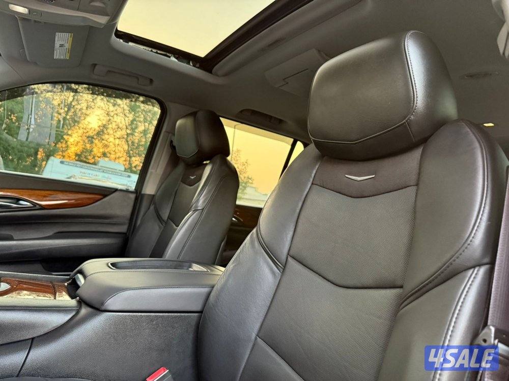 ESCALADE PREMIUM _20168