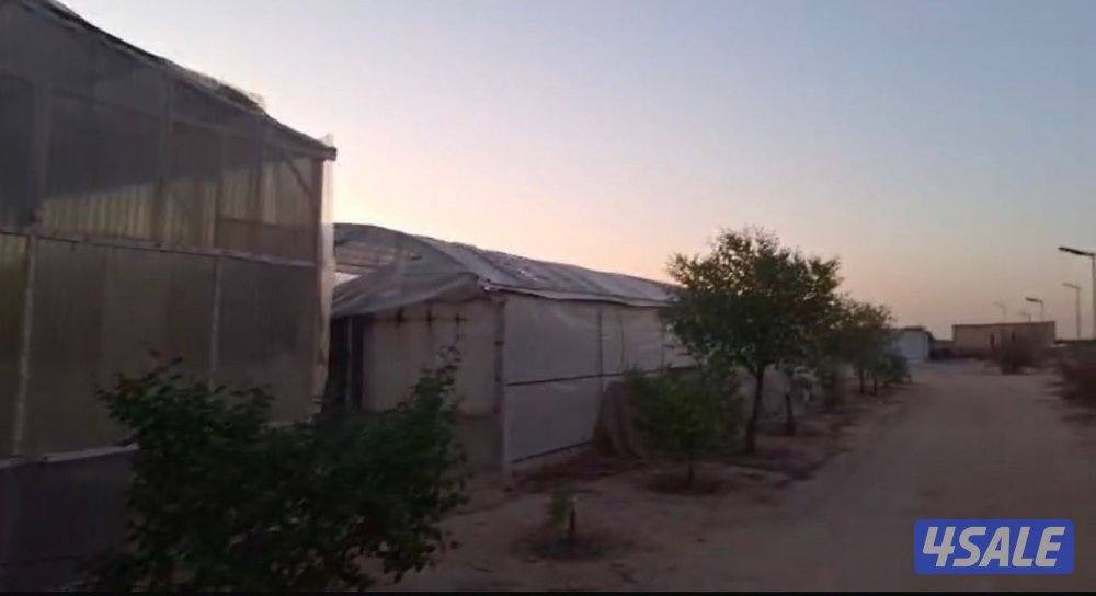 للبيع مزرعه ١٢٥٠٠2