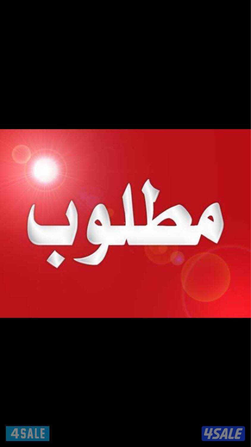 مطلوب ايفون بروماكس الصحراوي  ٢٥٦جيجا0