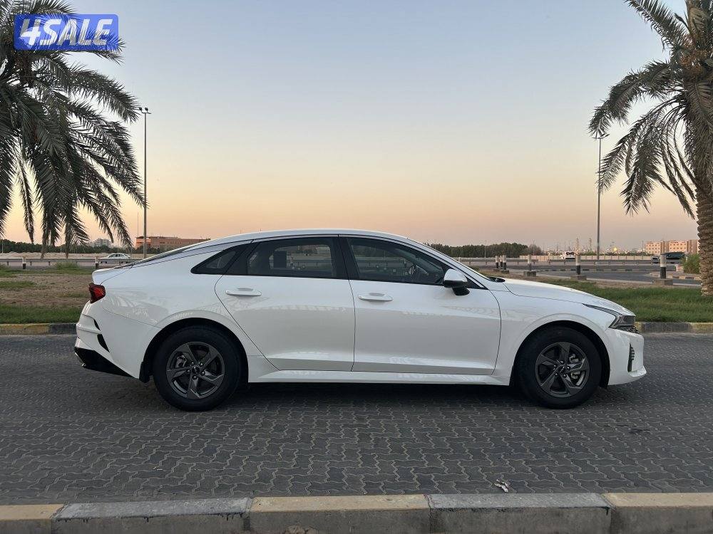 ‏المعاينة العارضية ‏الصناعية1