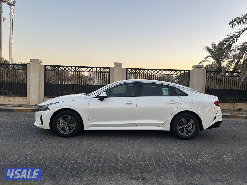 ‏المعاينة العارضية ‏الصناعية2