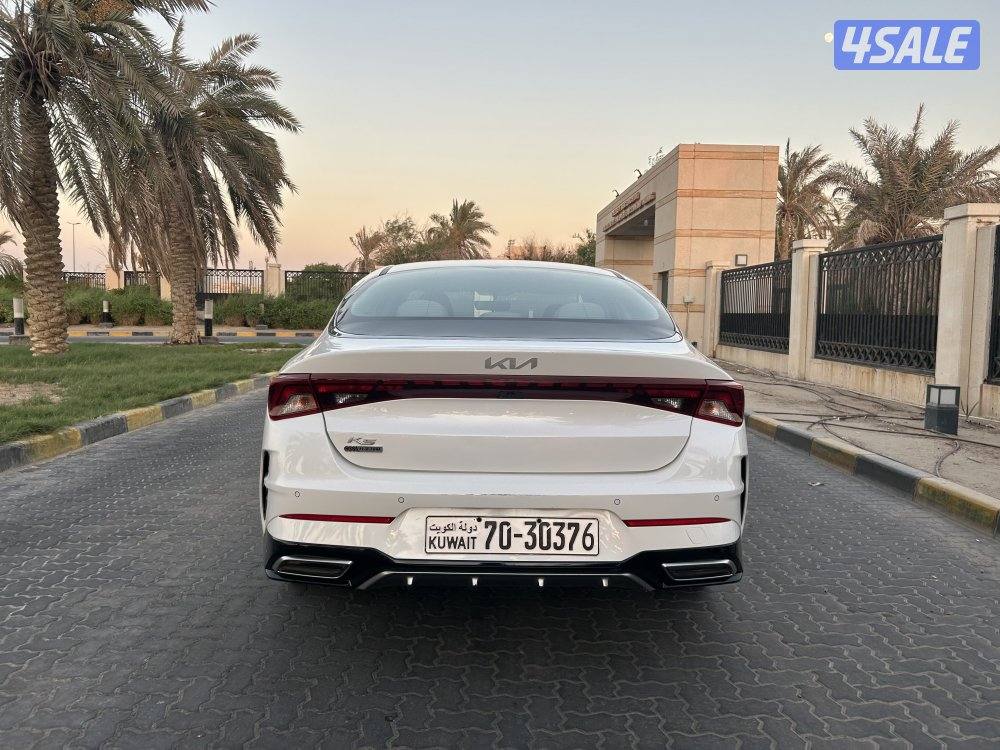 ‏المعاينة العارضية ‏الصناعية3