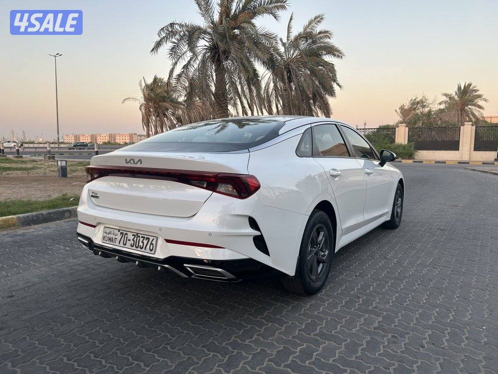 ‏المعاينة العارضية ‏الصناعية5