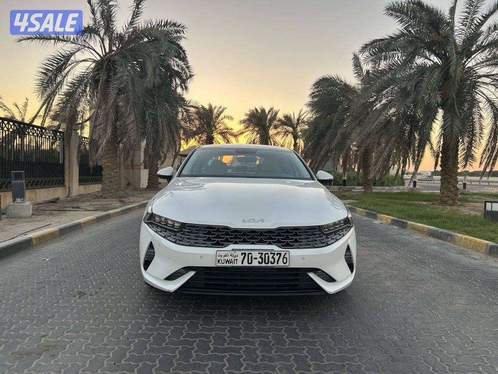 ‏المعاينة العارضية ‏الصناعية7