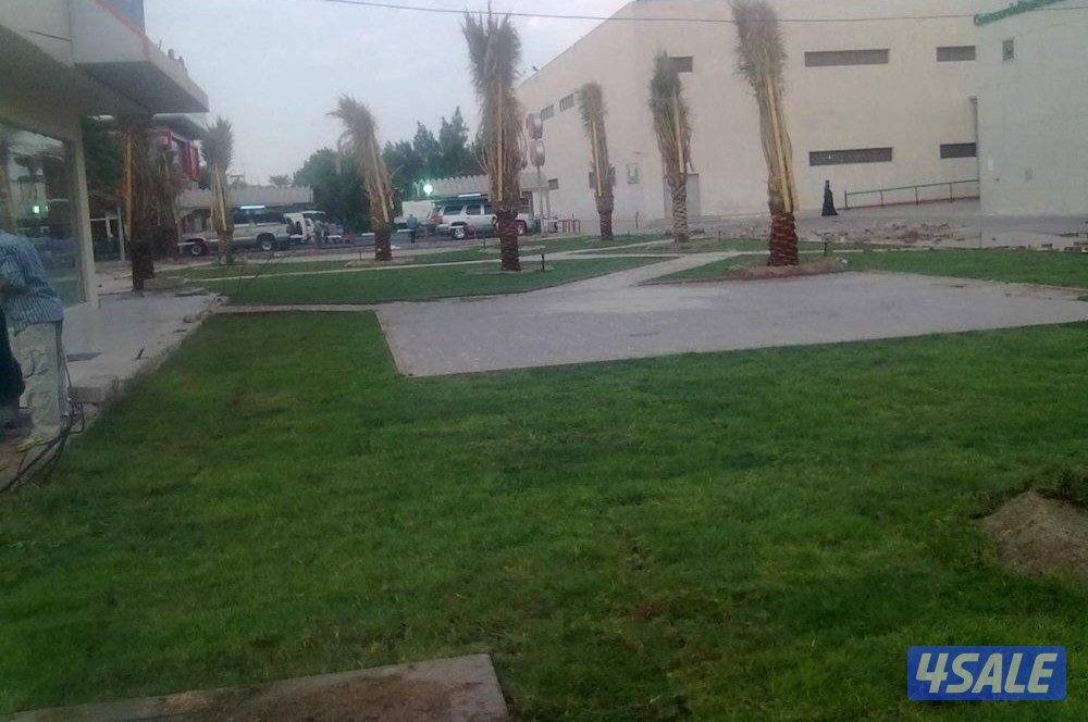 تنسيق حدائق تركيب السور التركي تركيب الثيل الصناعي زراعه الثيل الطبيعي10