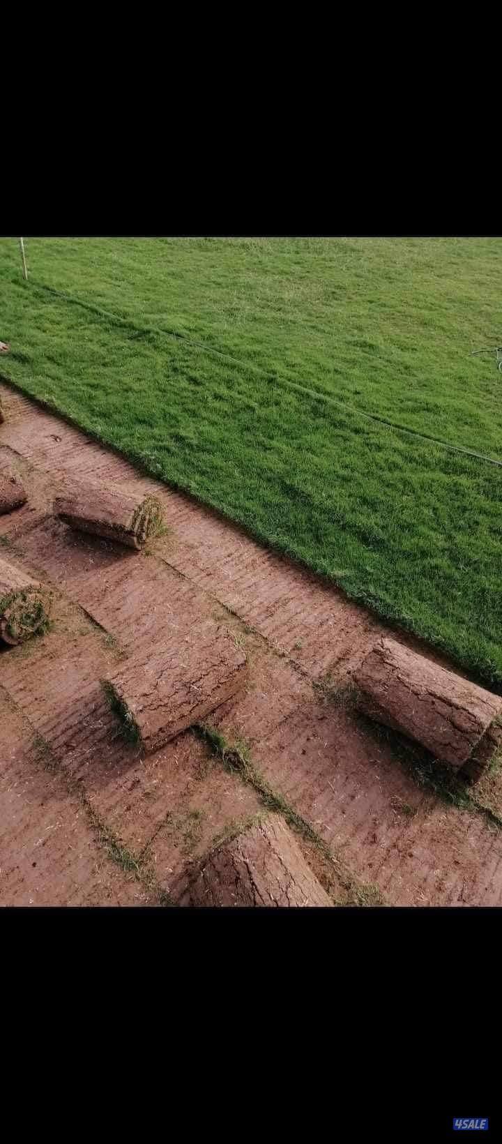 تنسيق حدائق تركيب السور التركي تركيب الثيل الصناعي زراعه الثيل الطبيعي12