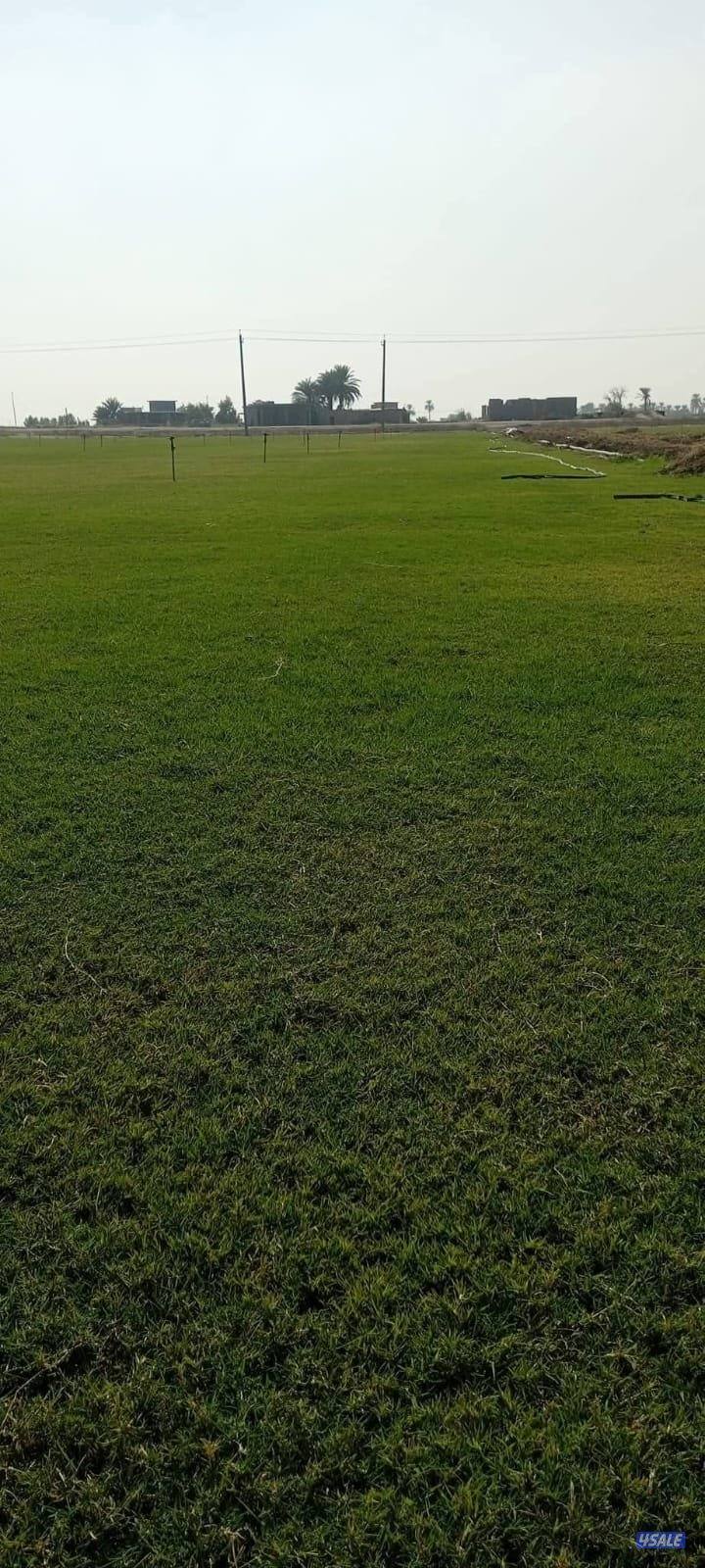 تنسيق حدائق تركيب السور التركي تركيب الثيل الصناعي زراعه الثيل الطبيعي13