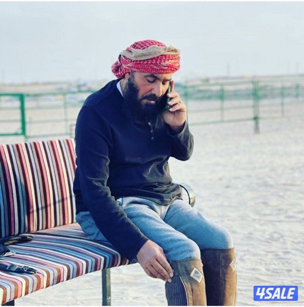 🐎 مركز قيس لتعليم الفروسية  / اسطبلات الجهراء/  12 حصة6