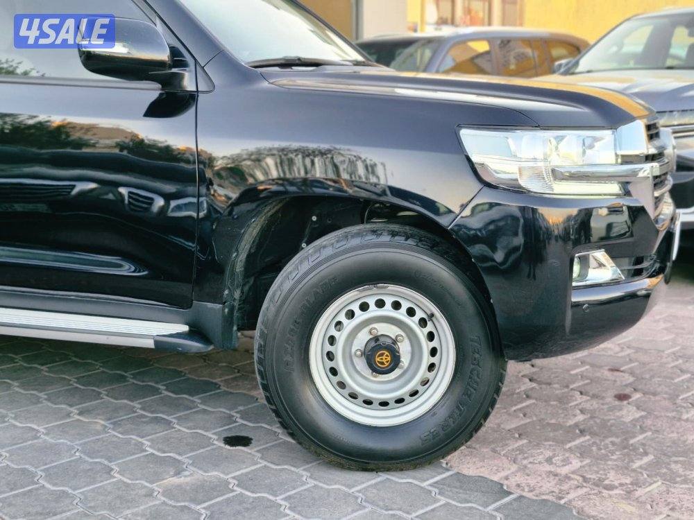 وارد قطر سلوقي 20201