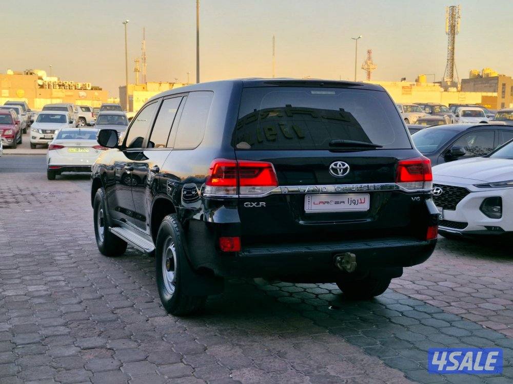 وارد قطر سلوقي 20205