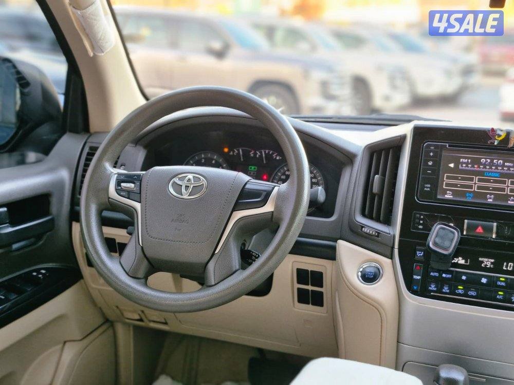 وارد قطر سلوقي 20209