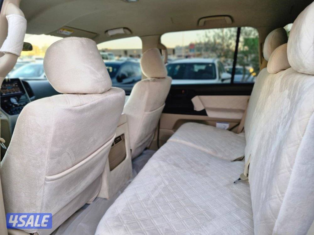 وارد قطر سلوقي 202011