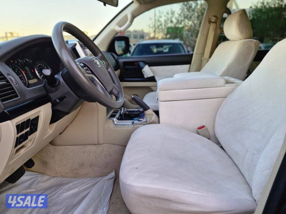 وارد قطر سلوقي 202012