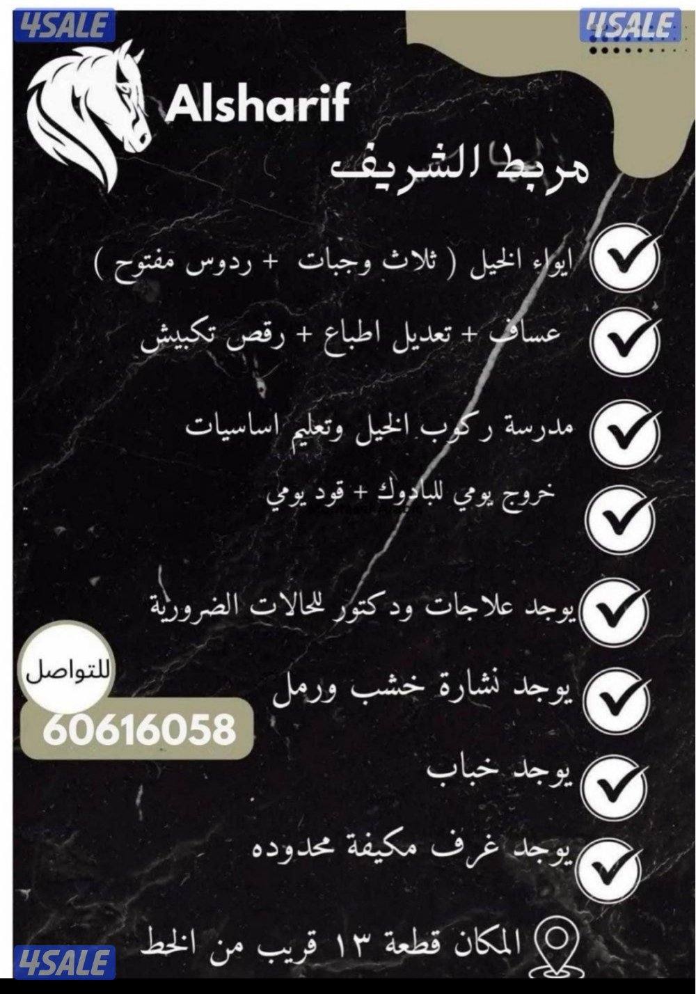 مربط الشريف0