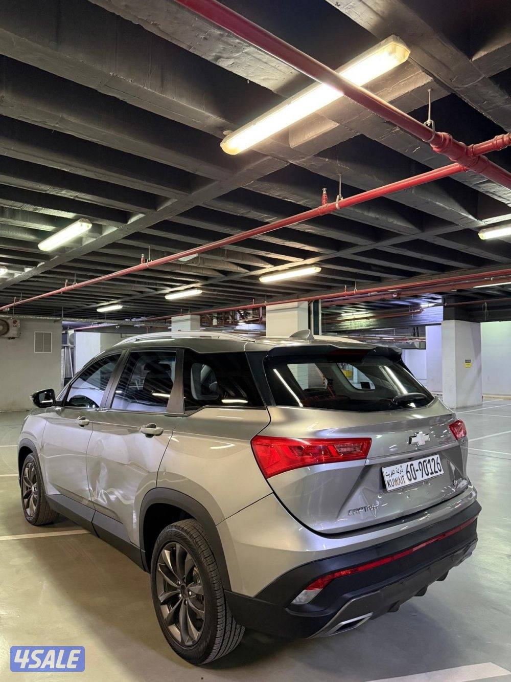 صبغ وكالة 20236