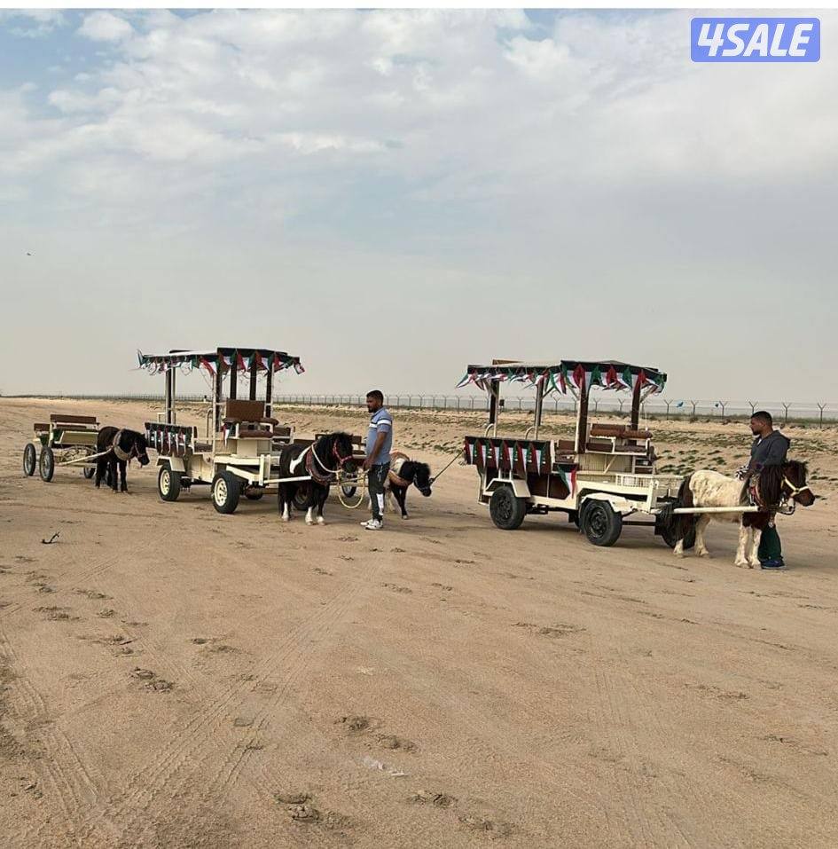 بونيات وعربانات7