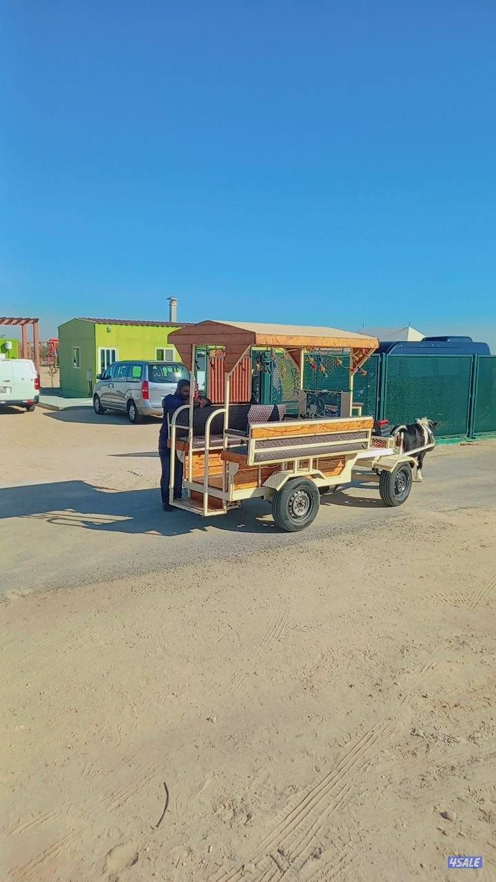 بونيات وعربانات8