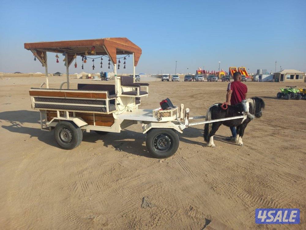 بونيات وعربانات9