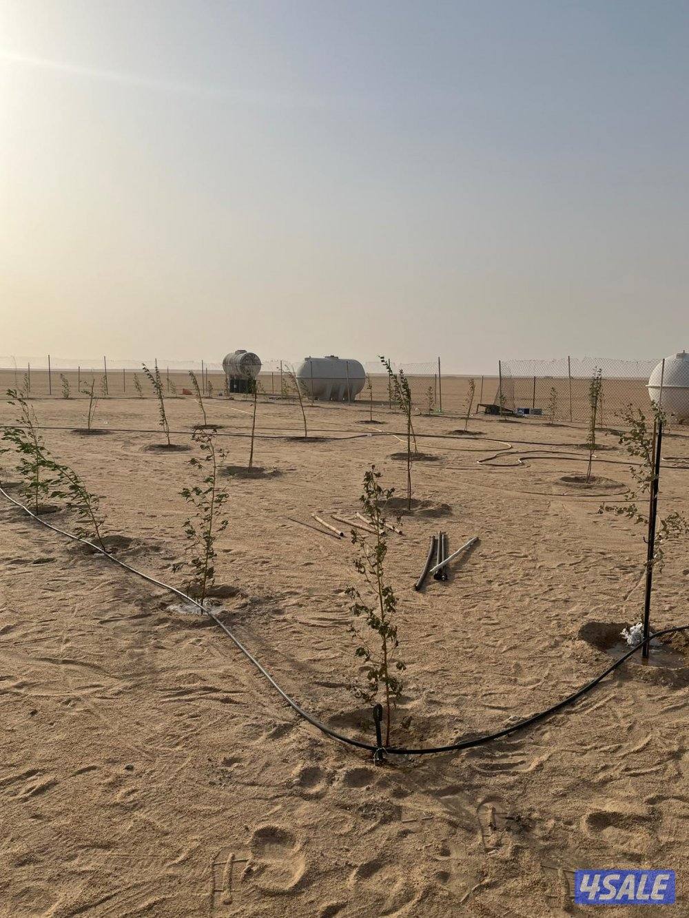 للبيع مخيم كامل شرق مزرعة الابرق وتفاصيل المخيم اتصال1