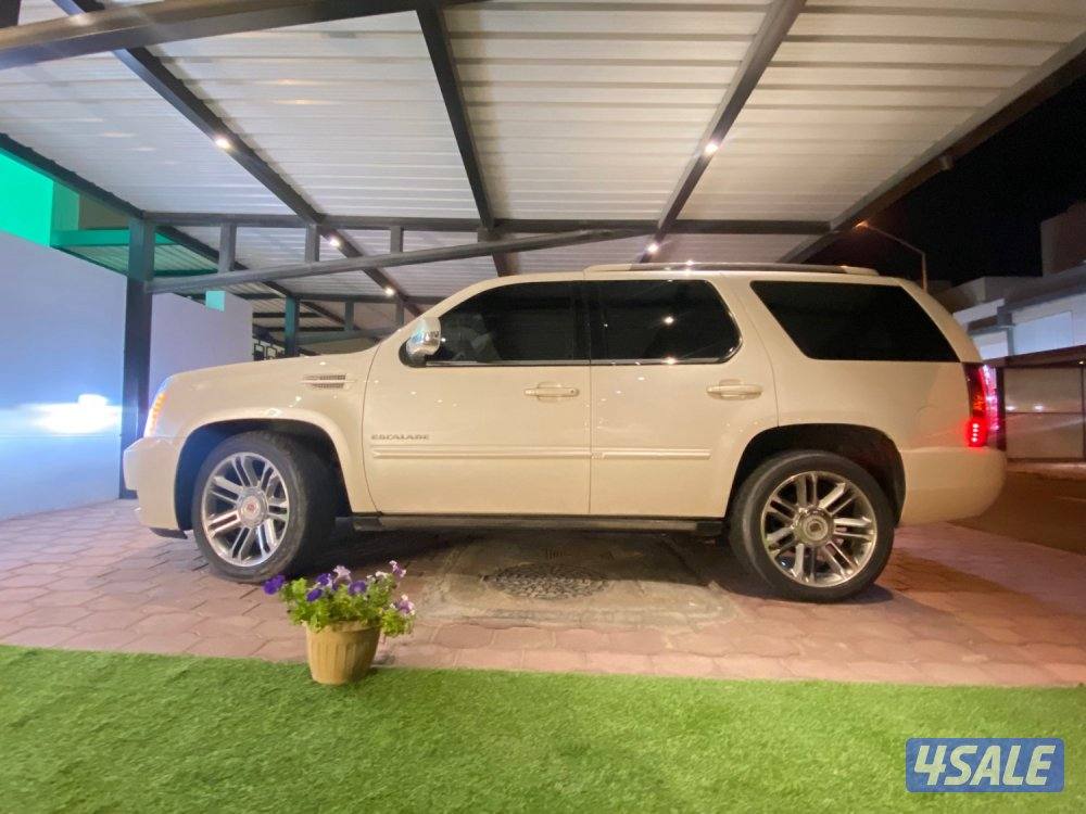 للبيع سكاليد0