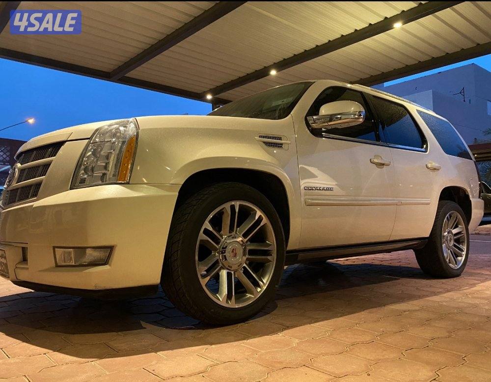 للبيع سكاليد1