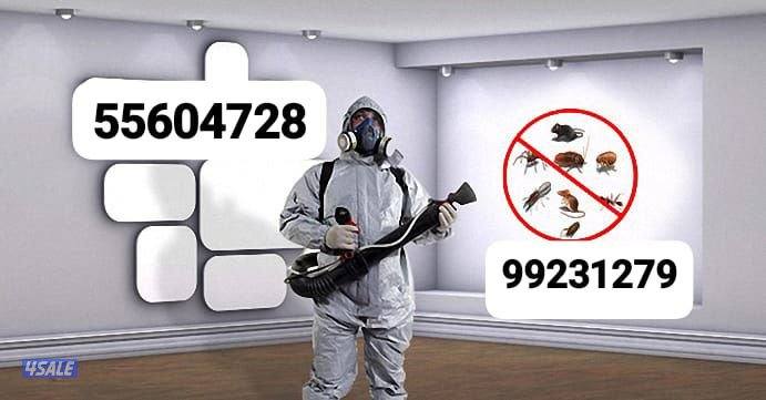 مكافحة حشرات وقوارض جميع مناطق الكويت. كفاله سنتين0