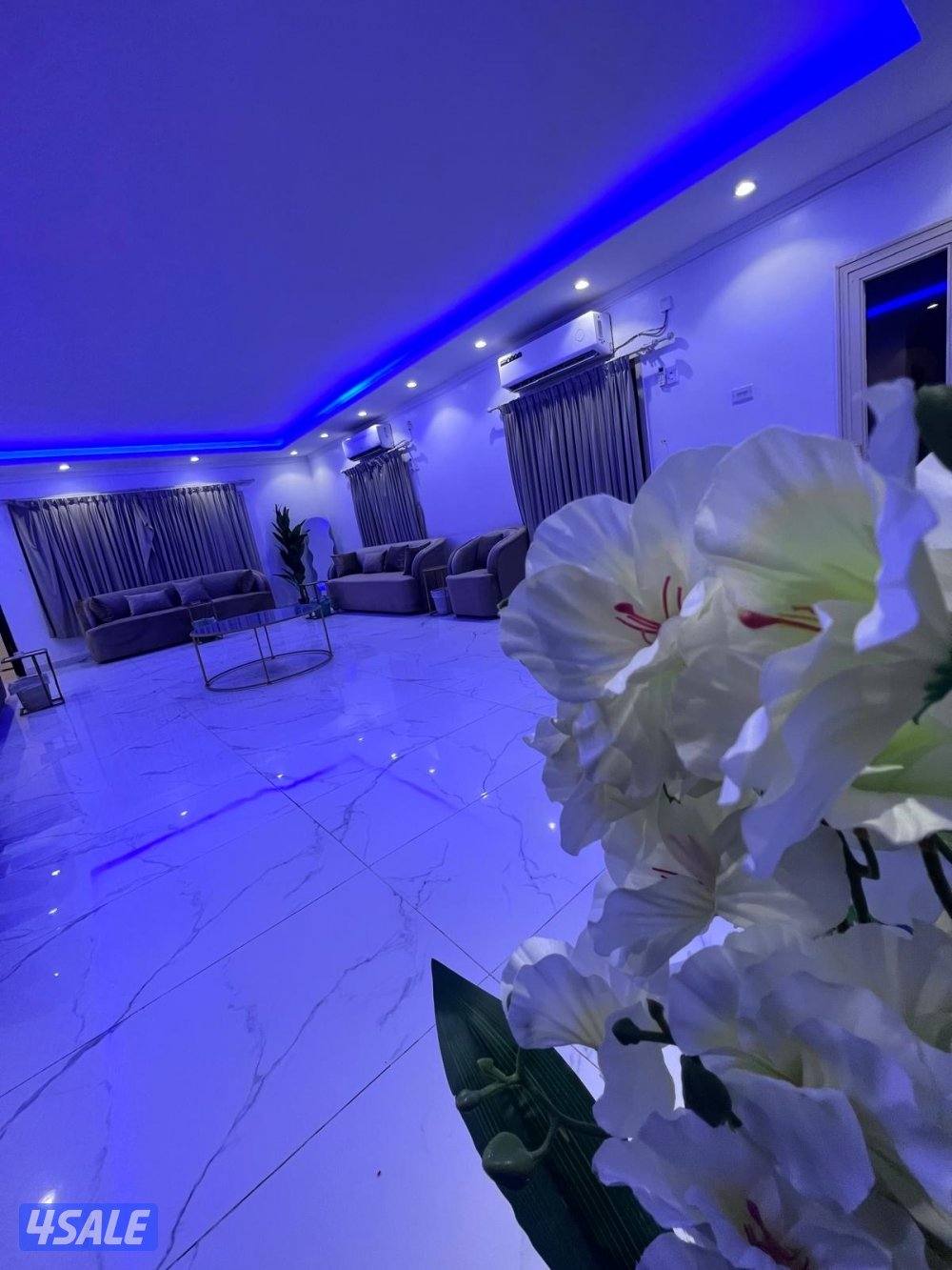 للأجار استراحة دار طلال8