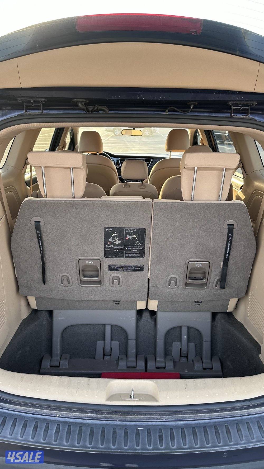 كرنفال 2019 بحالة الوكالة4