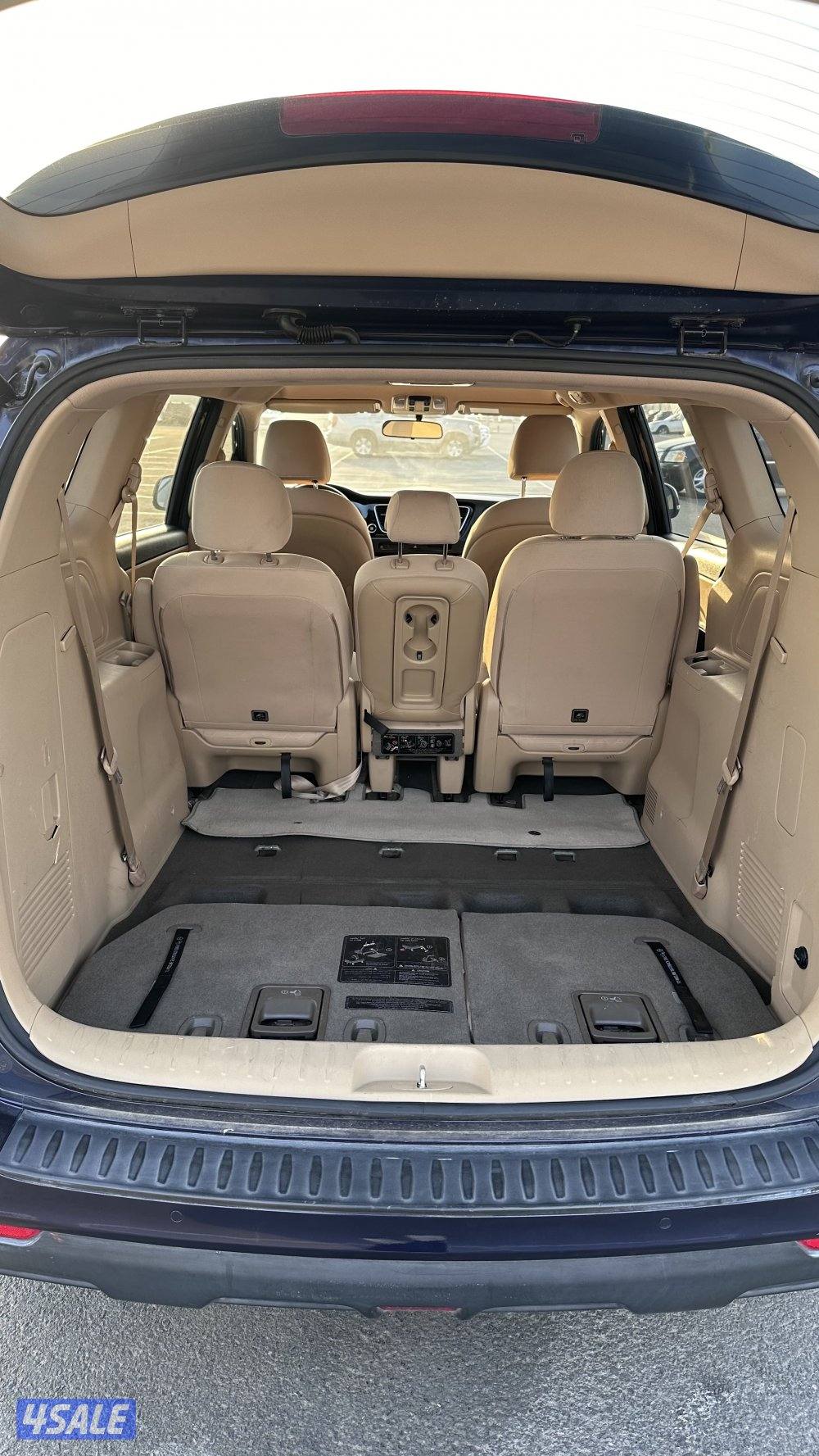 كرنفال 2019 بحالة الوكالة5