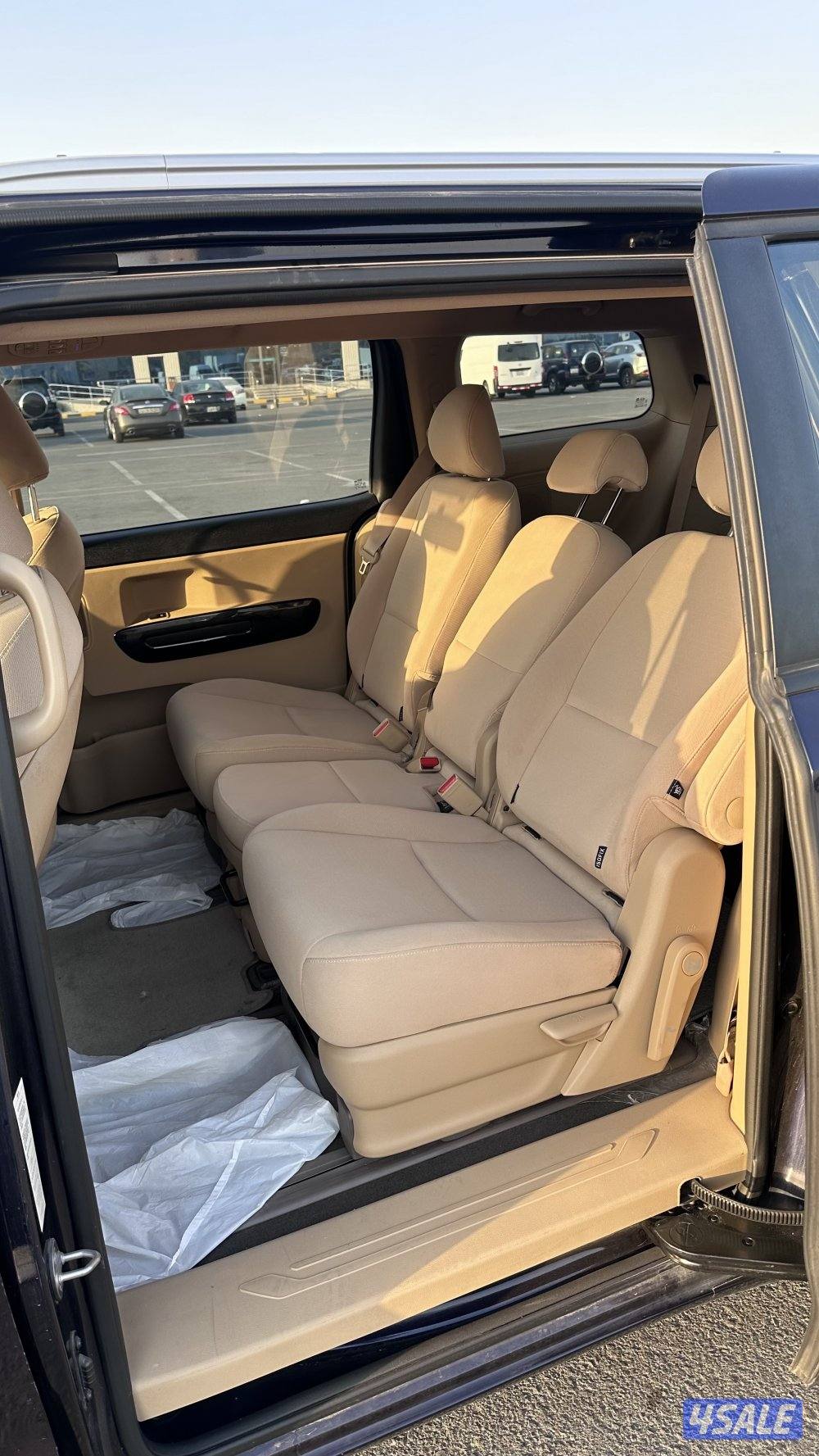 كرنفال 2019 بحالة الوكالة6