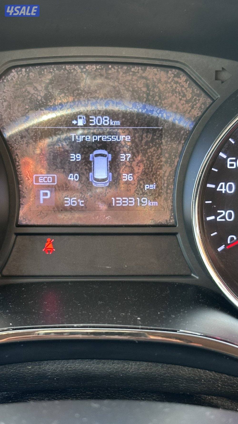 كرنفال 2019 بحالة الوكالة8