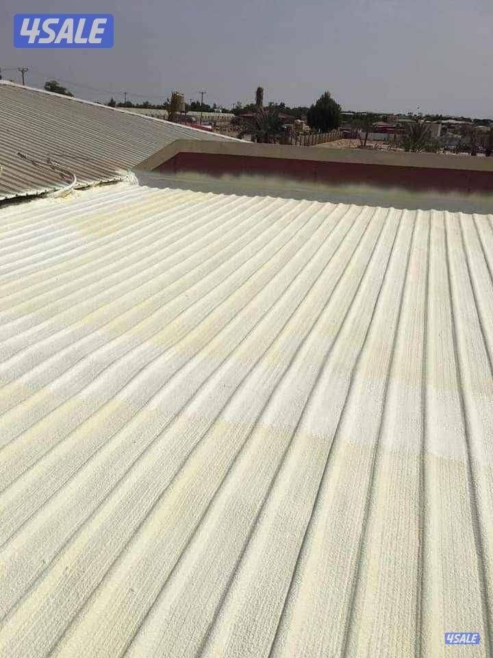 رش امريكي تاجير سياره الرش الامريكي عازل4