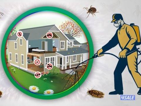 مكافحه حشرات وقوارض خدمه 24ساعه كفالة سنه وبارخص الاسعار جرب متميزون1