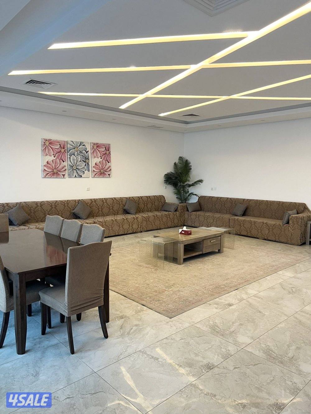 تاجير شاليه سنوي لعائلة8