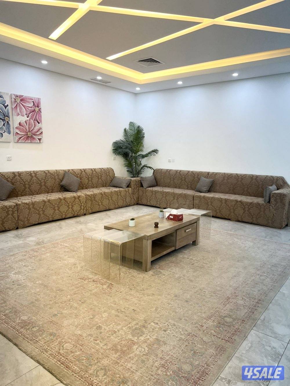 تاجير شاليه سنوي لعائلة10