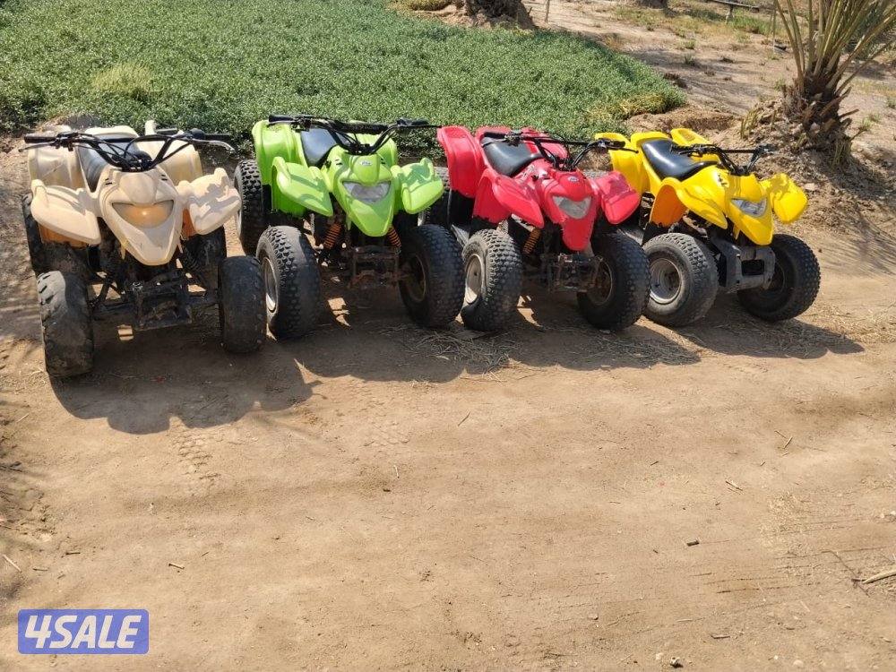 للبيع ٤ بقيات العميري حجم ١٠٠ CCشغالين شرط الفحص المكان مزارع الوفره0