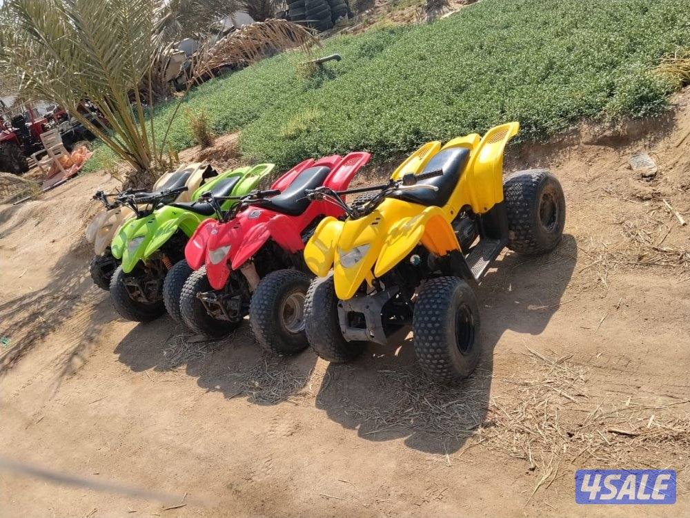 للبيع ٤ بقيات العميري حجم ١٠٠ CCشغالين شرط الفحص المكان مزارع الوفره1