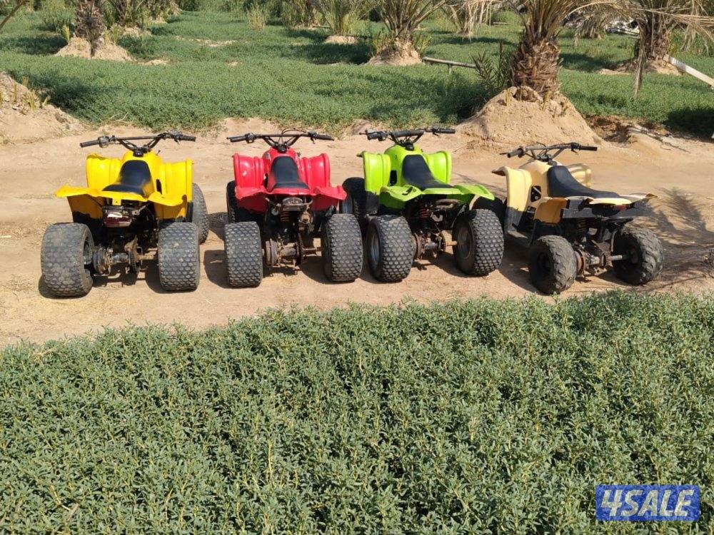 للبيع ٤ بقيات العميري حجم ١٠٠ CCشغالين شرط الفحص المكان مزارع الوفره2