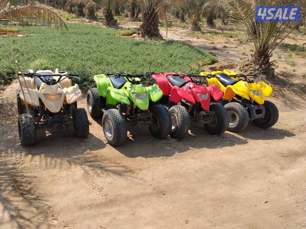 للبيع ٤ بقيات العميري حجم ١٠٠ CCشغالين شرط الفحص المكان مزارع الوفره3