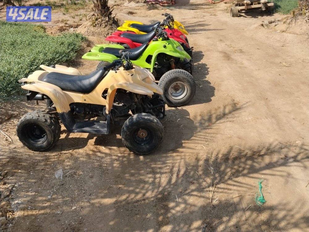 للبيع ٤ بقيات العميري حجم ١٠٠ CCشغالين شرط الفحص المكان مزارع الوفره4