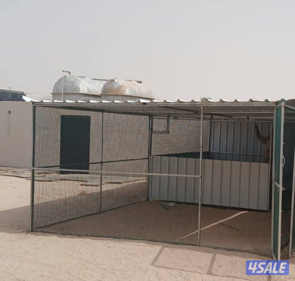 للبيع محاكر وأقفاص دجاج جميع الأحجام .. كما يوجد كبرات تفريخ معزوله7