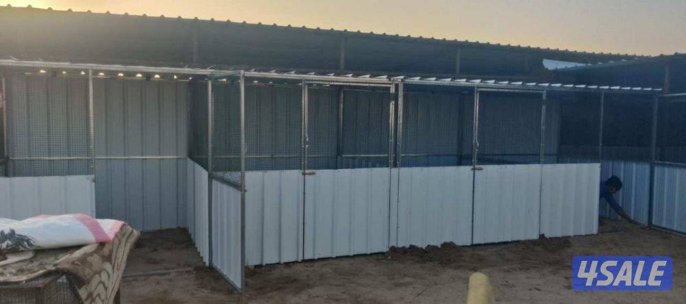 للبيع محاكر وأقفاص دجاج جميع الأحجام .. كما يوجد كبرات تفريخ معزوله9