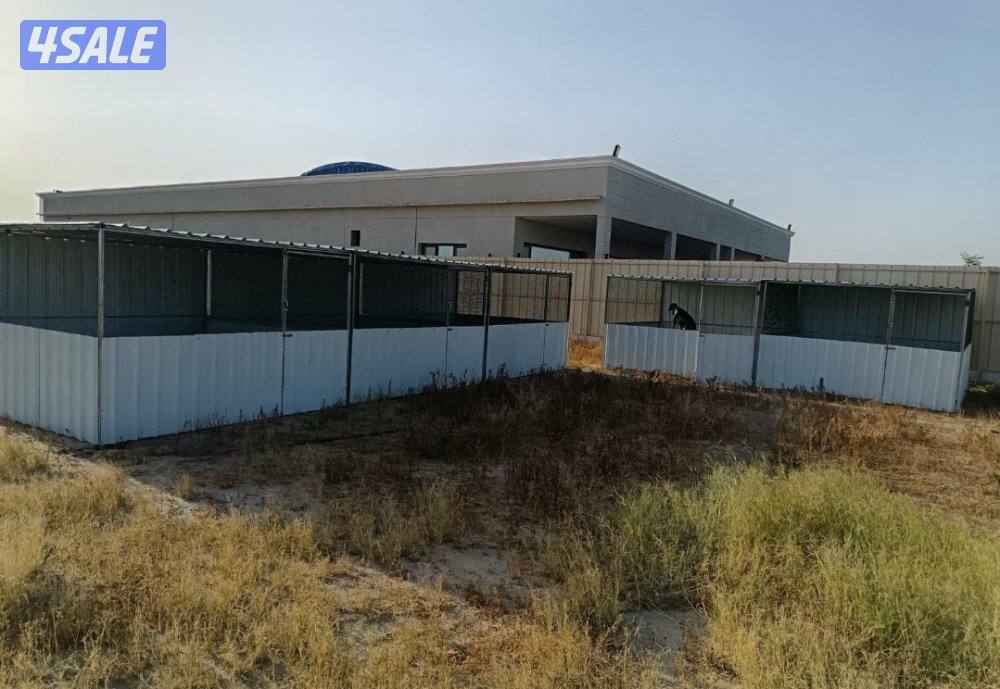 للبيع محاكر وأقفاص دجاج جميع الأحجام .. كما يوجد كبرات تفريخ معزوله8