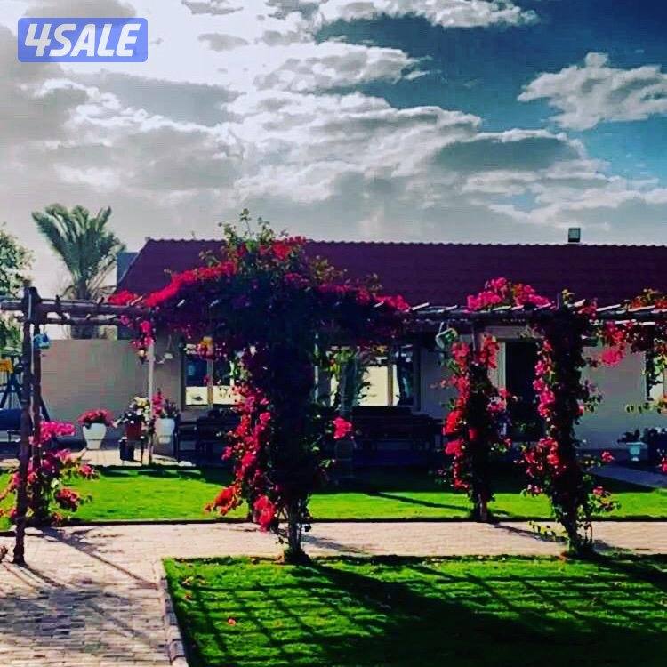 للايجار استراحه في كبد سوبر ديلوكس ايجار يومي فقط عوائل1