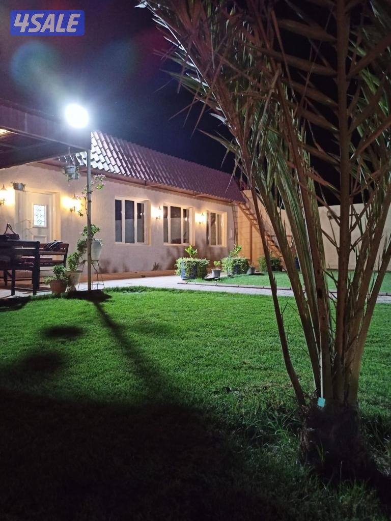 للايجار استراحه في كبد سوبر ديلوكس ايجار يومي فقط عوائل4