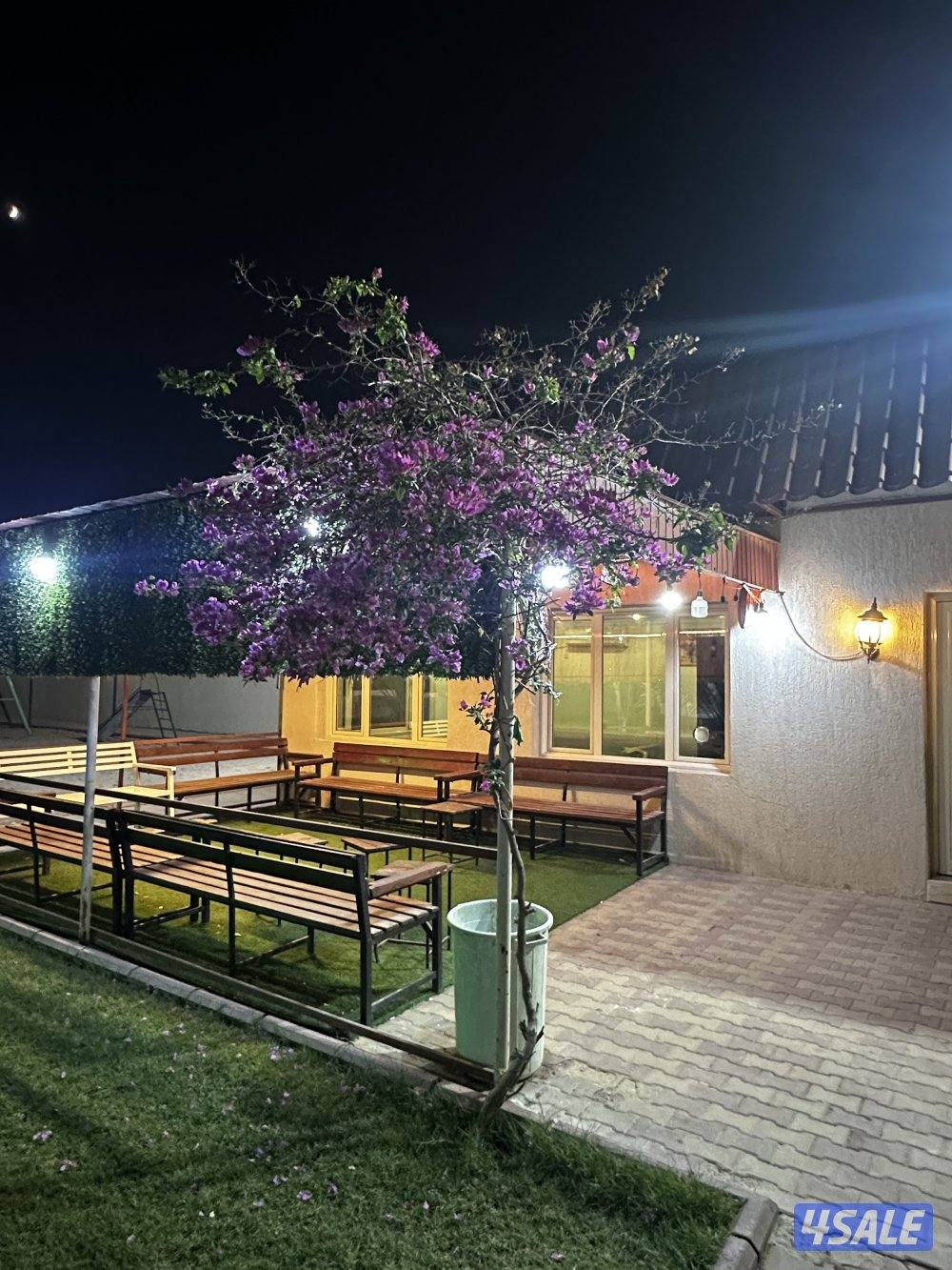 للايجار استراحه في كبد سوبر ديلوكس ايجار يومي فقط عوائل6