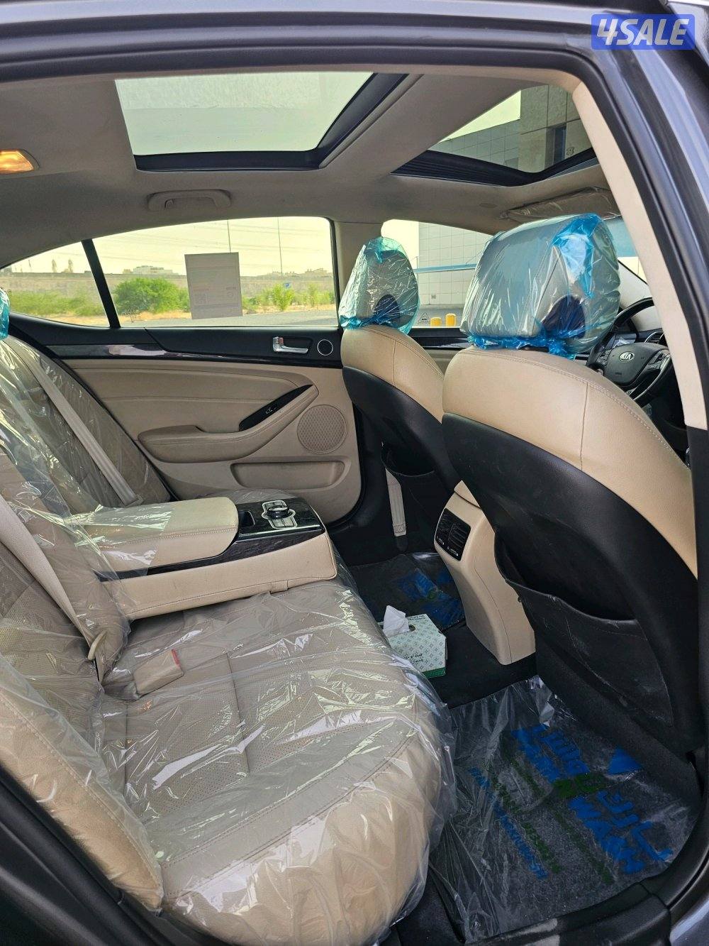 كادينزا 20146