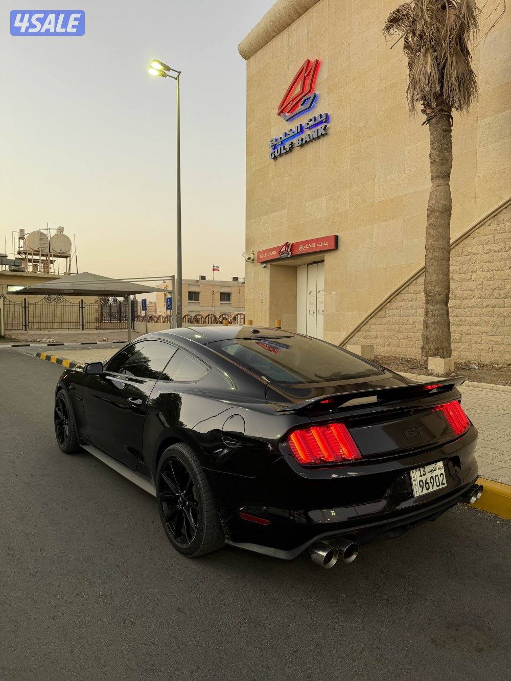 موستنج 5.0 بيرفومنس بكج0