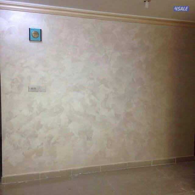 اصباغ ابو يوسف صبغ الماع صبغ إيطالي خشن وناعم15