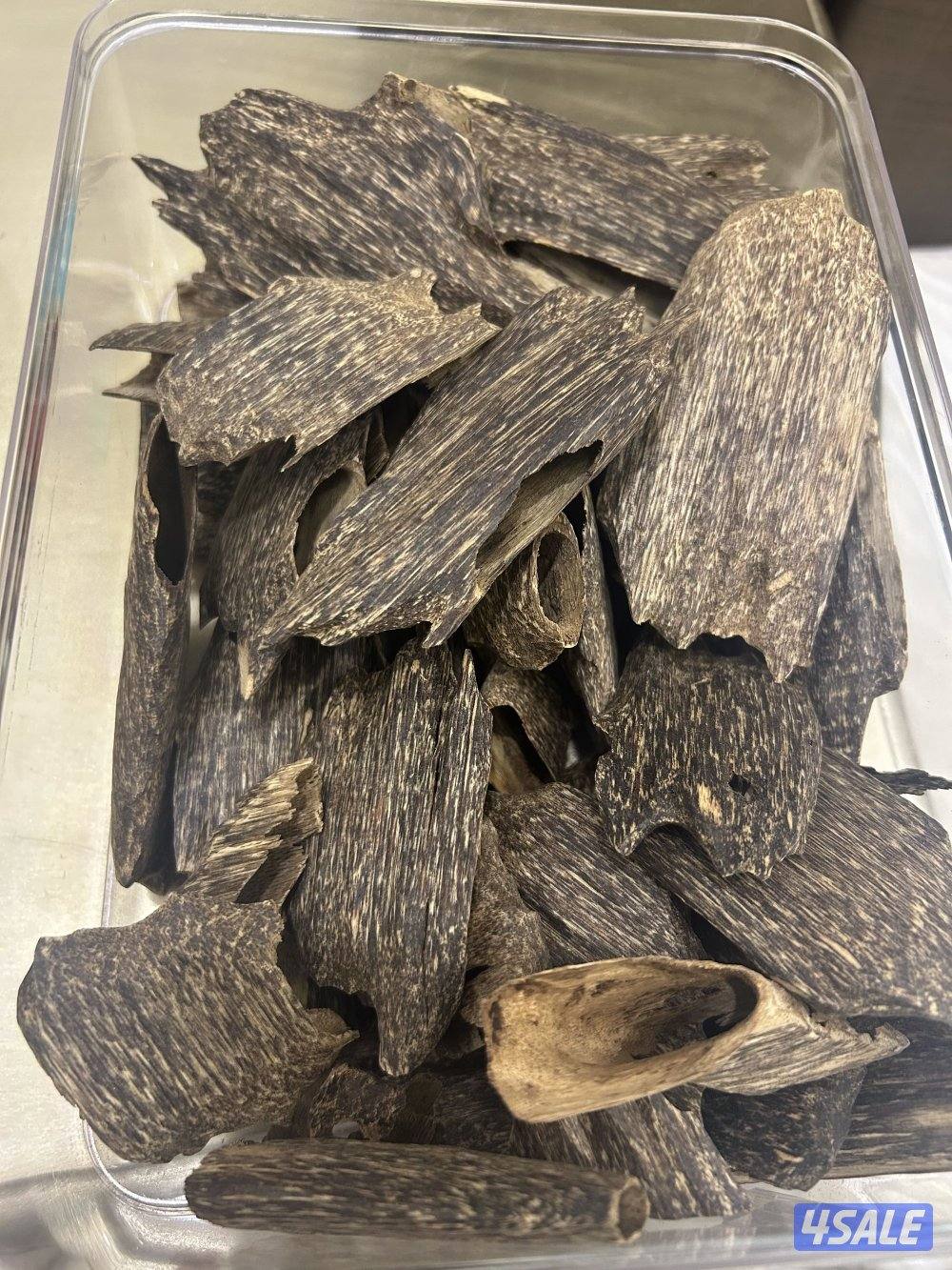 بخور تراد تايلندي متسوا حلو1